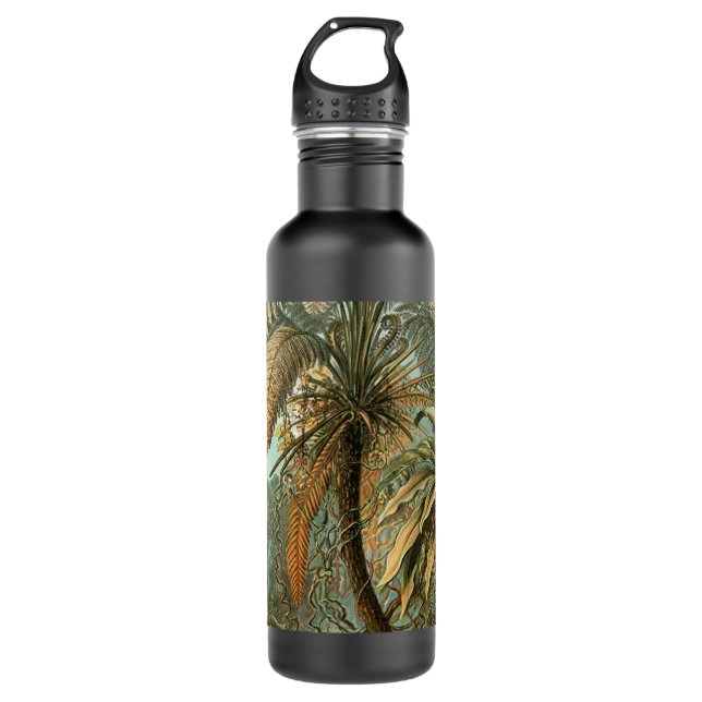 Botella De Agua Ferns Palm Tree Antique Botanica Ferns Art (Anverso)