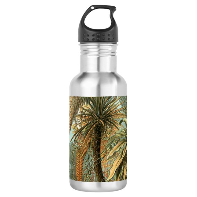 Botella De Agua Ferns Palm Tree Antique Botanica Ferns Art (Anverso)