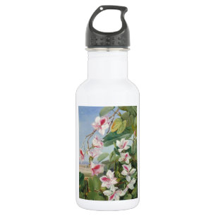 Botella De Agua Fiesta de Primavera de Flor de Rosa Paz Amor Desti