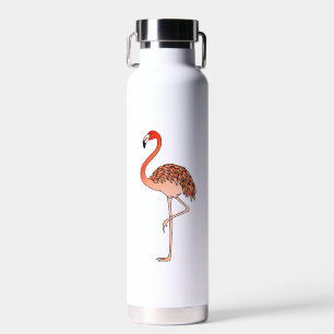 Botella De Agua Flamenco Rosa Pájaro Lineart-57567