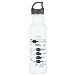 Botella De Agua Flecha de definición de tiro al arco