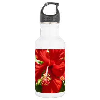 Botella De Agua Flor de Hibiscus en Hawaii Roja brillante