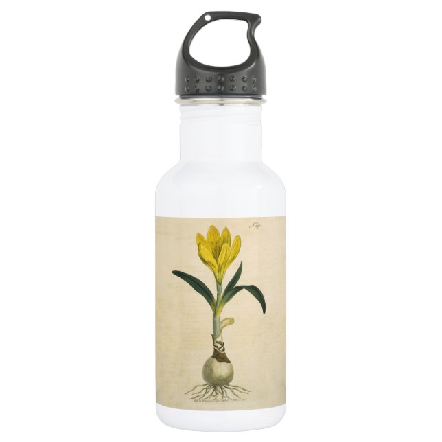 Botella De Agua Flor Jardín Botánico Amaryllis Tulip (Anverso)
