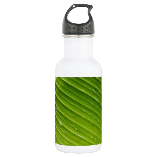 Botella De Agua Flora Dominica 1 (Anverso)