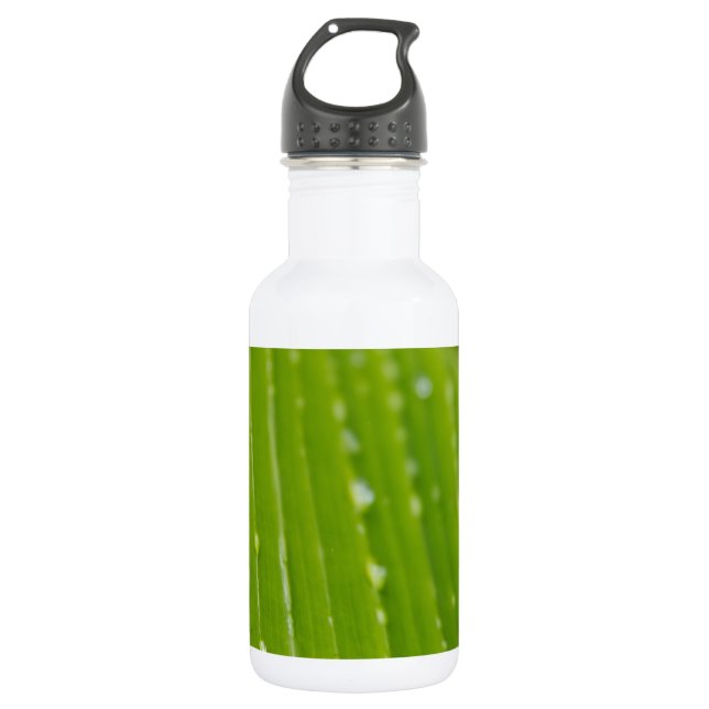 Botella De Agua Flora Dominica 2 (Anverso)