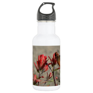 Botella De Agua Flores cardinales de colibrí