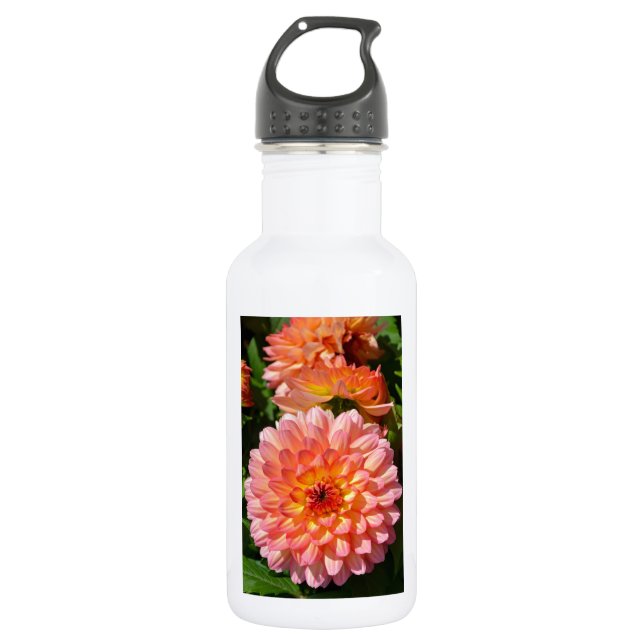 Botella De Agua Flores de dahlia rosa en flor (Anverso)
