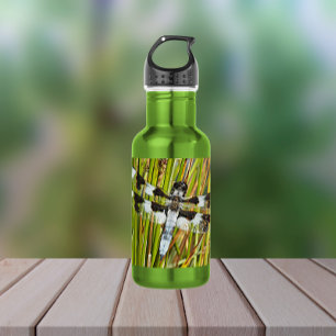 Botella De Agua Foto común del Skimmer Dragonfly