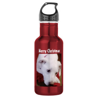Botella De Agua Foto de cachorro adorable de Navidad en rojo