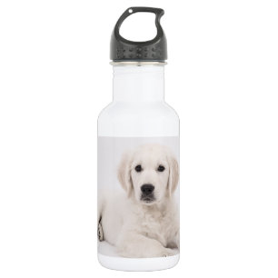 Botella De Agua Foto de Golden Retriever