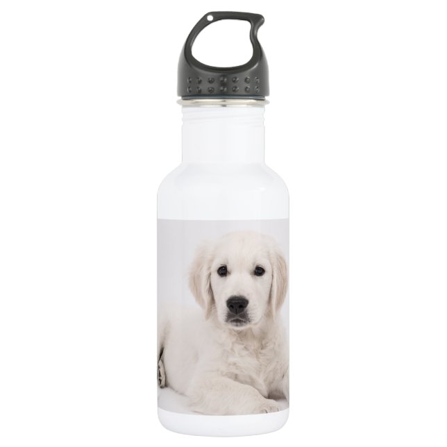 Botella De Agua Foto de Golden Retriever (Anverso)