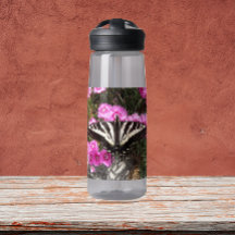 Foto de la naturaleza de la mariposa de cola traga