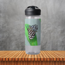 Foto de mariposa azul real