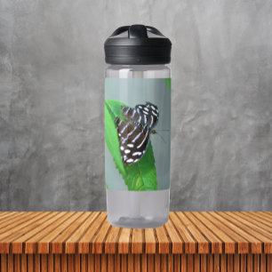 Botella De Agua Foto de mariposa azul real