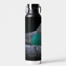 Foto de nutrias marinas de juego