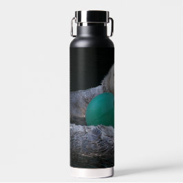 Botella De Agua Foto de nutrias marinas de juego