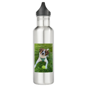 Botella De Agua Foto de perro Añadir dos fotos