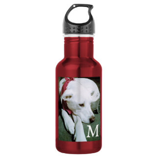 Botella De Agua Foto de perro blanco lindo Agregar inicial niños r