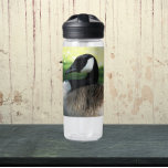 Botella De Agua Foto de Resting Canada Goose Wildlife Photo<br><div class="desc">¡Para los aficionados a la naturaleza y a los animales! Manténganse acallados dondequiera que vayan con esta botella de agua clara y plástica que muestra la foto de una oca de Canadá en reposo. Seleccione su tamaño y color de la botella de agua. NOTA: Imagen no optimizada para el estilo...</div>