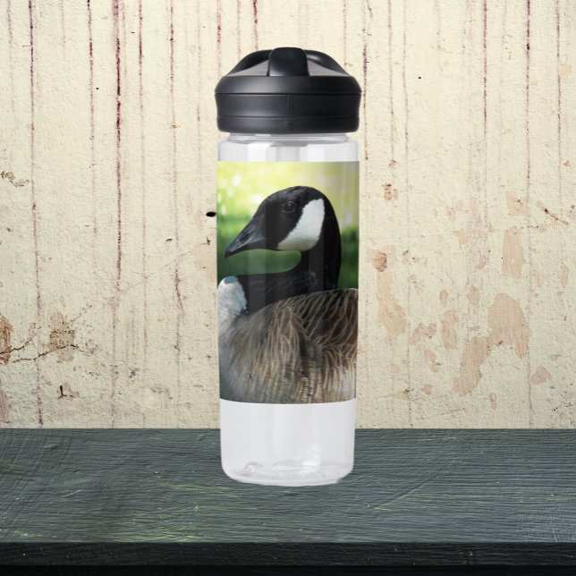 Botella De Agua Foto de Resting Canada Goose Wildlife Photo (In Situ Table)