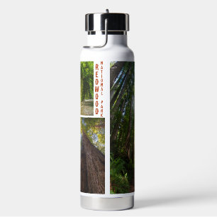 Botella De Agua Foto del Parque Nacional Redwood