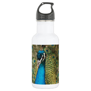 Botella De Agua Foto del pavo real hermoso con las plumas