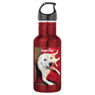 Botella De Agua Foto divertida de perro lindo sonriendo Rojo y Bla