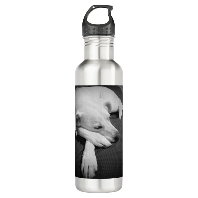 Botella De Agua Foto en blanco y negro de un hermoso perro durmien (Anverso)