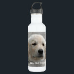 Botella De Agua Foto personalizada y nombre del perro del golden<br><div class="desc">Personalice este recuerdo del perro del golden retriever con la su foto del perro o del perrito y el nombre (o la otra foto del mascota o de la persona/el nombre). El texto lee el "mejor perro nunca" o añade su propio texto - amamos la margarita (el nombre de su...</div>
