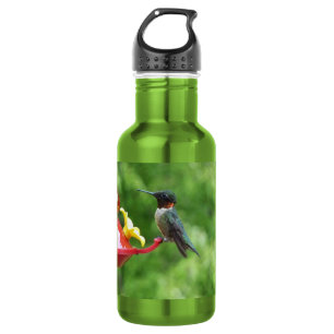 Botella De Agua Fotografía de aves de colibrí de garganta rubí