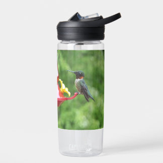 Botella De Agua Fotografía de aves de colibrí de garganta rubí