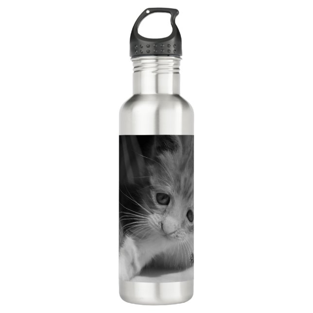 Botella De Agua Fotografía de Gatito Blanco y Negro (Anverso)