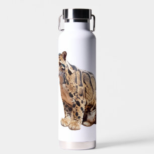Botella De Agua fotografía de leopardo nublado selva gran gato ani