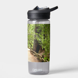 Botella De Agua Fotografía de naturaleza del sendero de Muir Woods