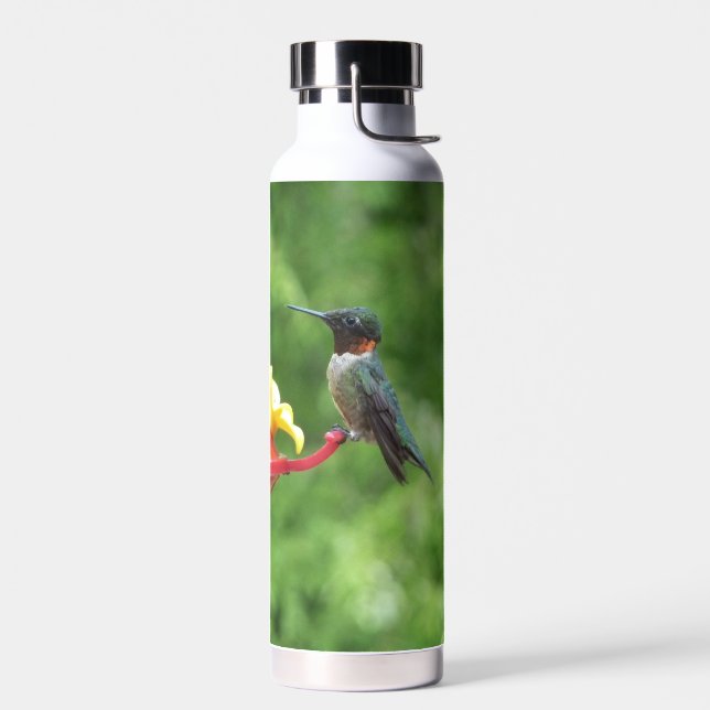 Botella De Agua Fotografía de pájaro húmedo con trompetas de rubí (Izquierdo)