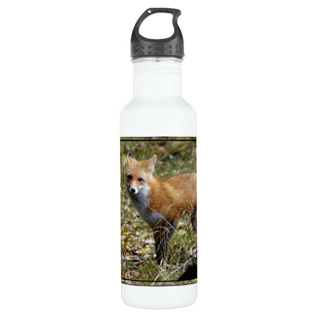Botella De Agua Fox (Anverso)