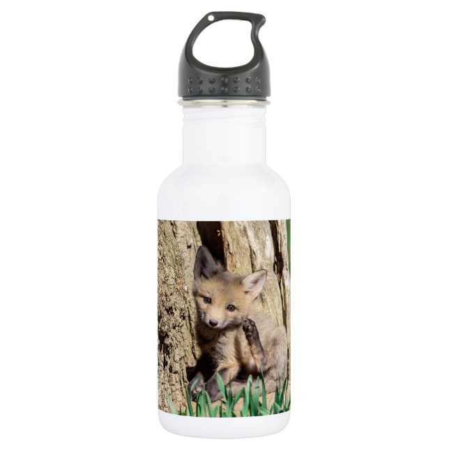Botella De Agua Fox Kit en el Valle de Hudson (Anverso)