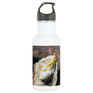 Botella De Agua Fracguana