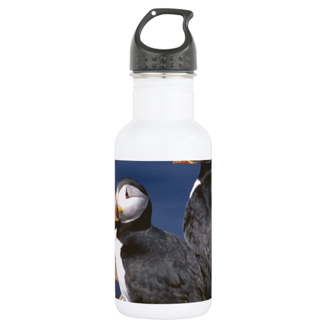 Botella De Agua Frailecillo-tastic (Anverso)
