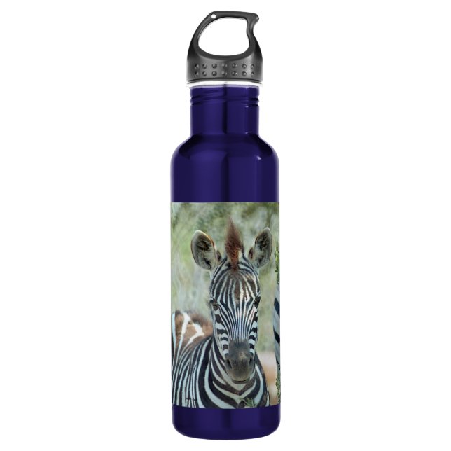 BOTELLA DE AGUA FRASCO DE AGUA DE ACERO INMOBILIARIO DE ZEBRA FOAL (Anverso)