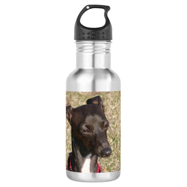 Botella De Agua galgo italiano.png (Anverso)
