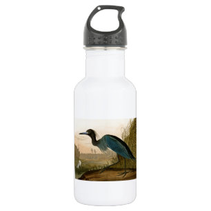 Botella De Agua Garza Grulla Azul Impresión de Audubon Arte Coster