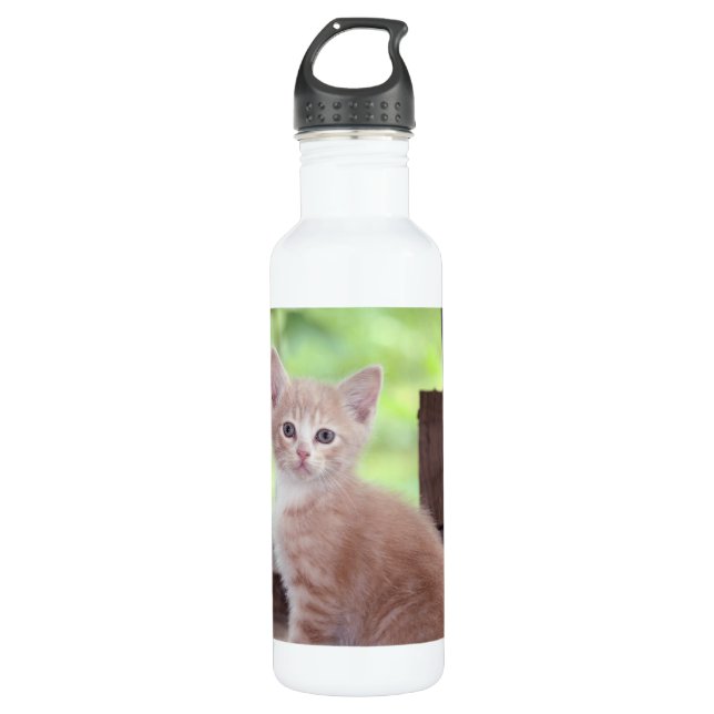 Botella De Agua Gatito (Anverso)