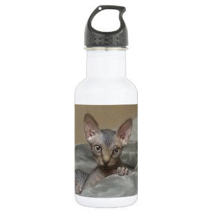 Botella De Agua Gatito de Spynx