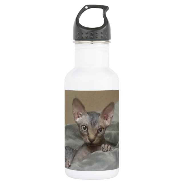 Botella De Agua Gatito de Spynx (Anverso)