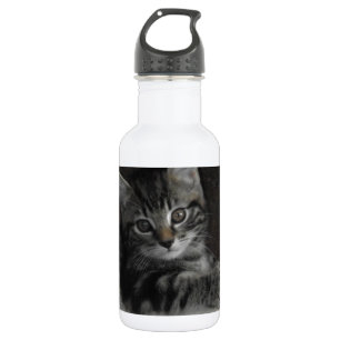 Botella De Agua Gatito del chapucero
