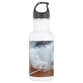 Botella De Agua Gatito lindo jugando con cuerda