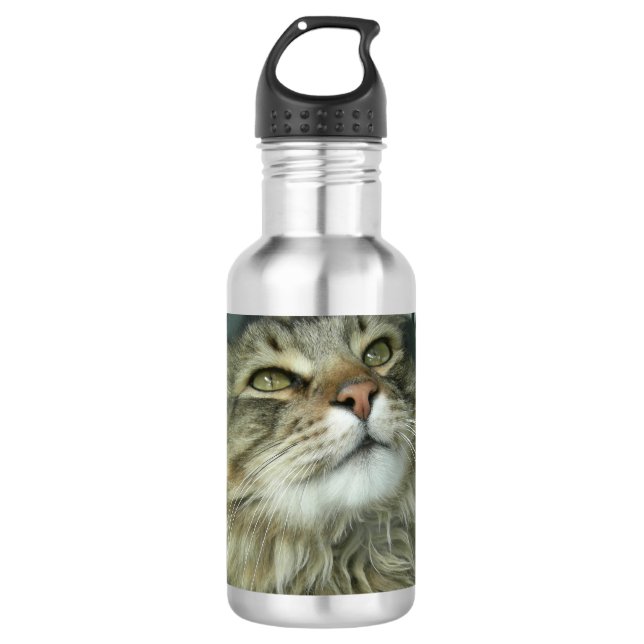 Botella De Agua gatito Maine Coon (Anverso)