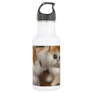 Botella De Agua Gatitos de suciedad