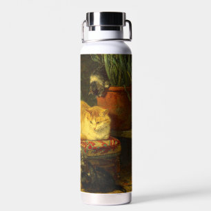 Botella De Agua Gatitos en juego